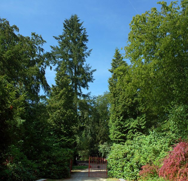 Forest Botanical Garden Eberswalde, Eberswalde, Germany, Germany